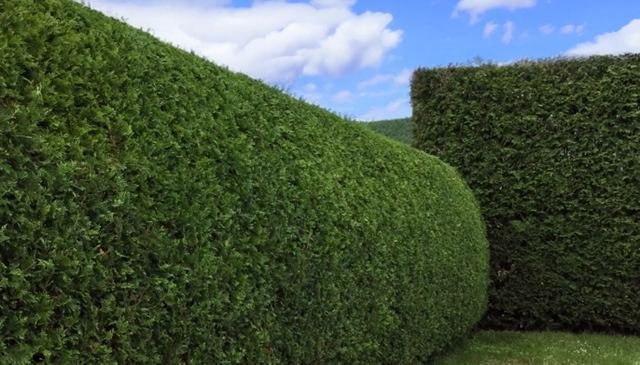 Création et aménagement de jardin
